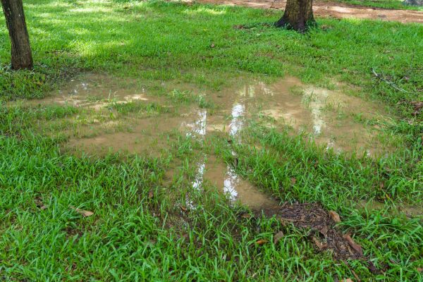 Cost of Storm Water Drainage Service in Stamford