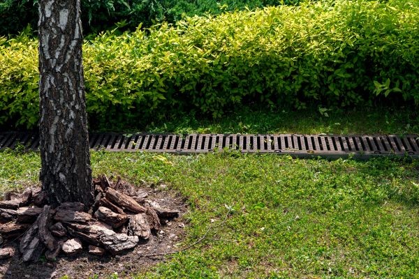 Cost of Wet Yard Drainage in Stamford