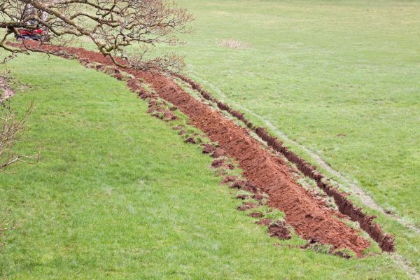 Cost of Swale Installation in Stamford