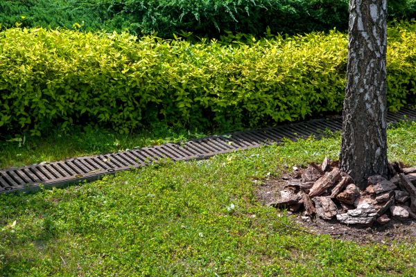Cost of Residential Landscape Drainage in Stamford