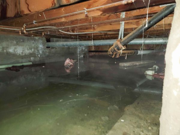 Cost of Crawlspace Drainage in Stamford
